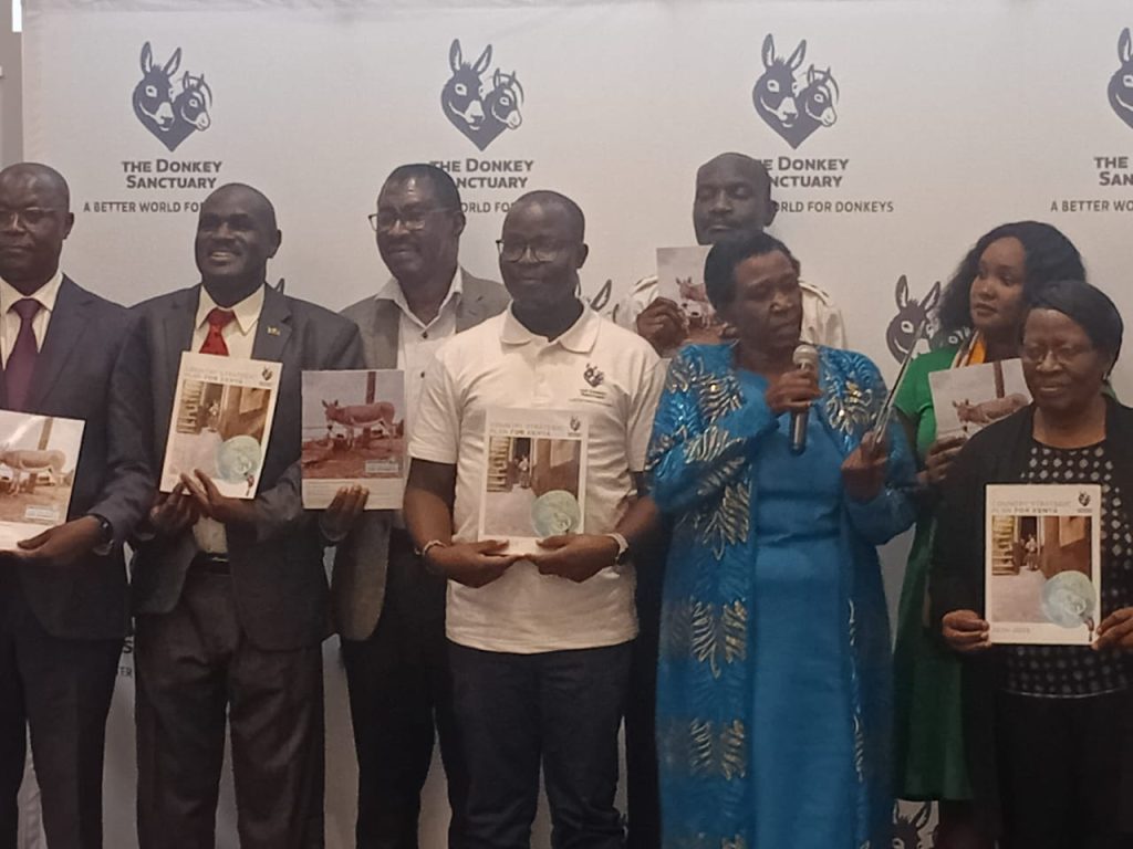 WhatsApp Image 2025-12-04 at 16.49.39