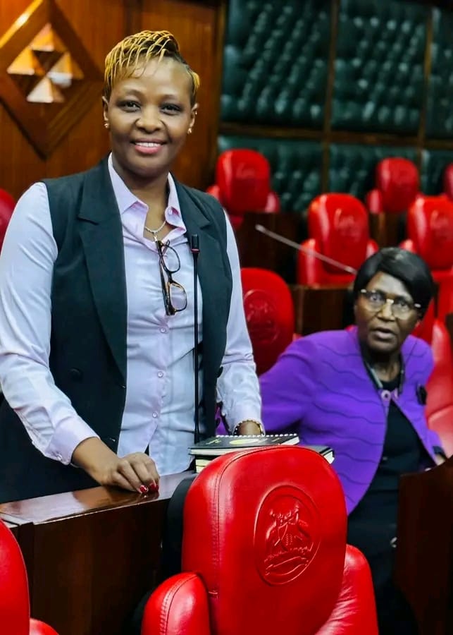 WhatsApp Image 2025-12-11 at 18.11.38