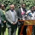 WhatsApp Image 2026-02-12 at 15.03.35