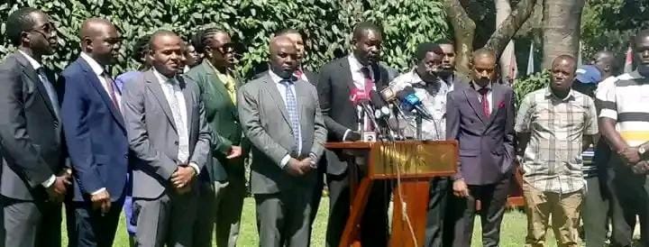 WhatsApp Image 2026-02-12 at 15.03.35