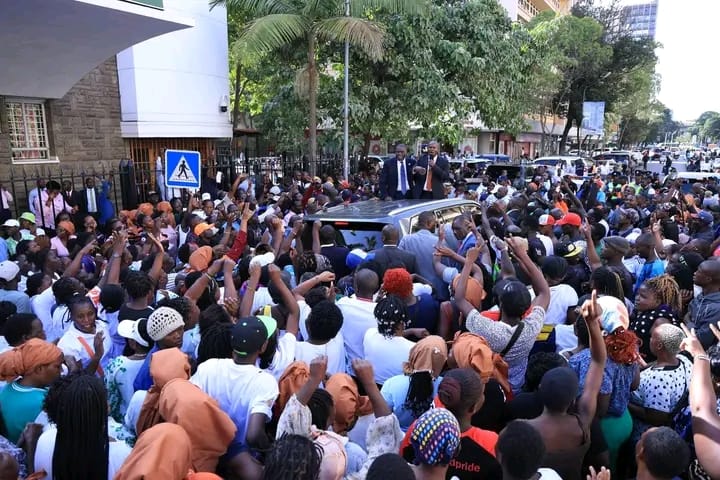 WhatsApp Image 2026-02-12 at 16.37.42