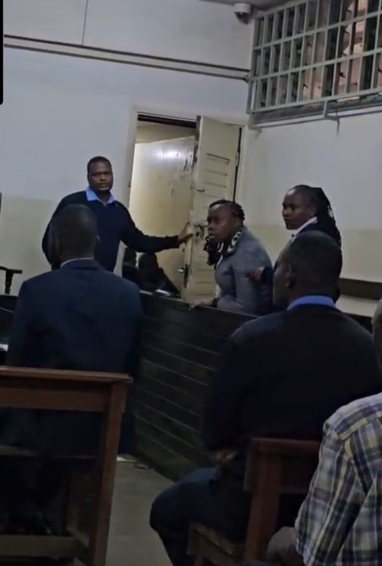 WhatsApp Image 2026-02-25 at 16.08.56