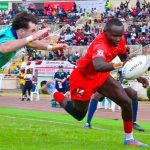 Safari 7s 2026